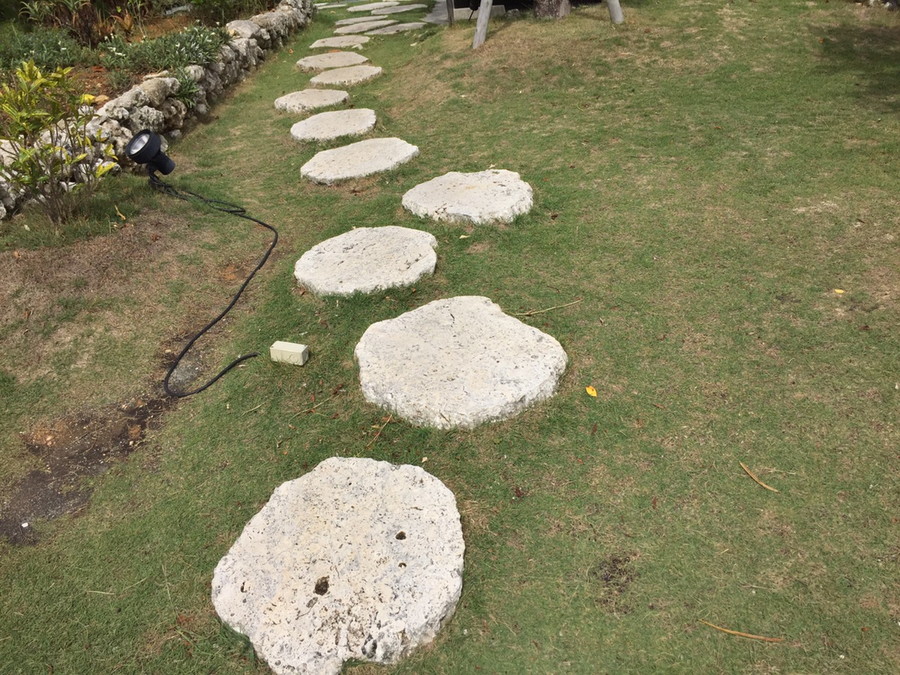 草の上に石をのせた道